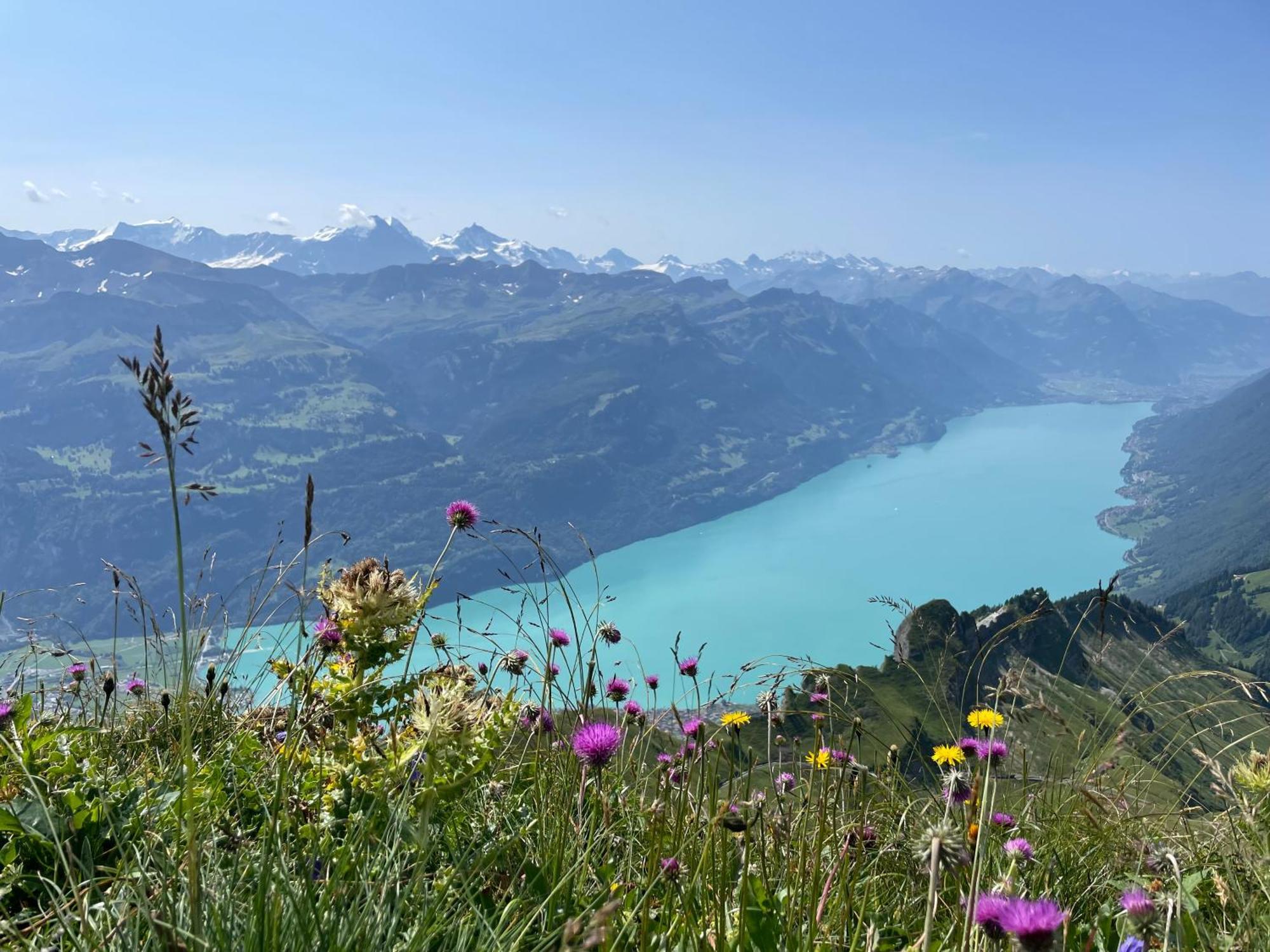 Romantic Lake & Mountain Apartment Pure Swissness Brienz  Esterno foto