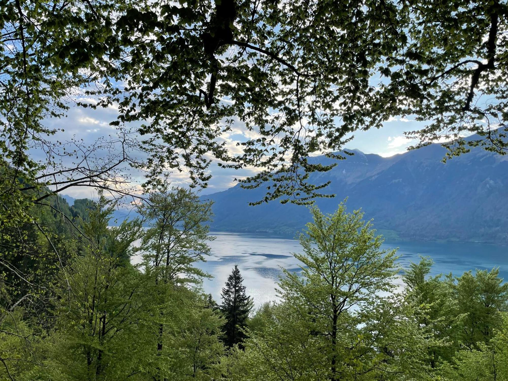 Romantic Lake & Mountain Apartment Pure Swissness Brienz  Esterno foto